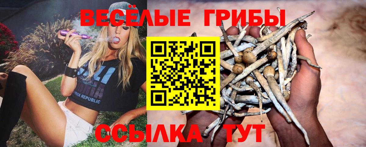 Псилоцибиновые грибы Magic Shrooms  Вход с VPN  Псилоцибиновые грибы MAGIC MUSHROOMS  Туймазы 